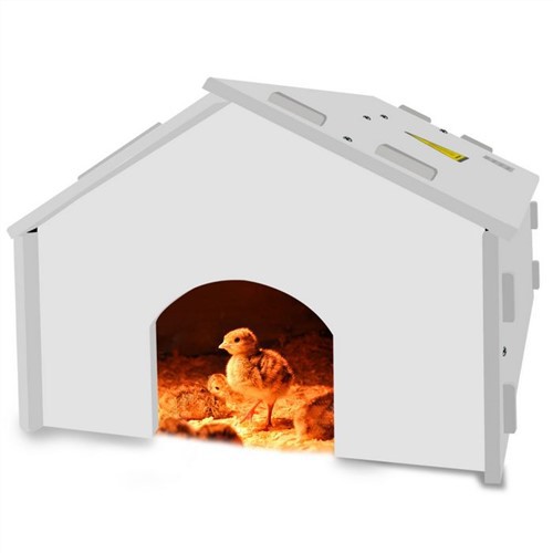 Брудери для птиці